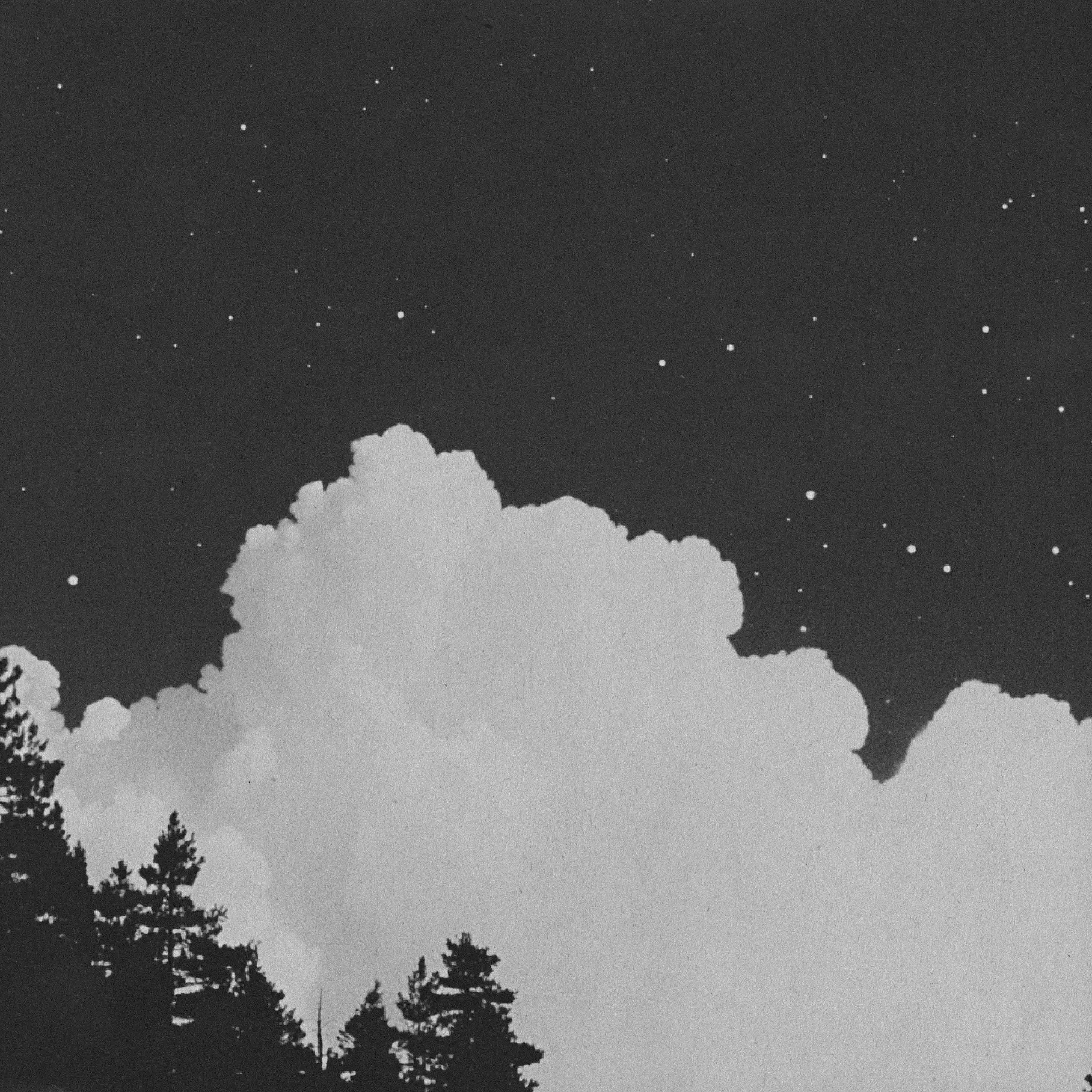 a black and white image of trees and clouds against a star filled sky.
