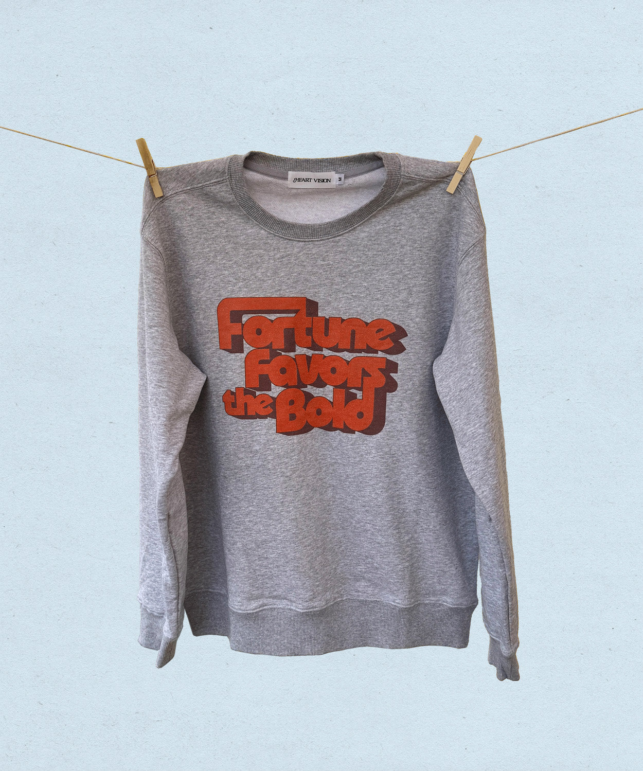 Gray sweatshirt with red text 'Fortune Favours the Bold' hanging on a clothesline against a light blue background.